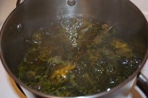 visszér kezelése főzetekkel